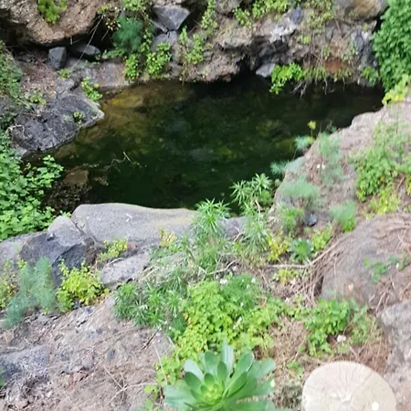 Liudis * Costa Adeje (Tenerife)