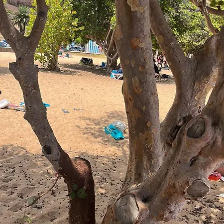 Liudis Costa Adeje (Tenerife)